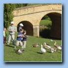 [Click to enlarge image]