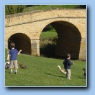 [Click to enlarge image]