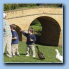 [Click to enlarge image]