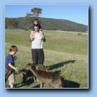 [Click to enlarge image]