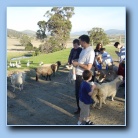 [Click to enlarge image]