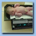 [Click to enlarge image]