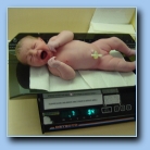 [Click to enlarge image]