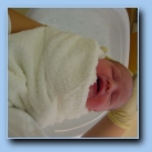 [Click to enlarge image]