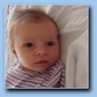 [Click to enlarge image]