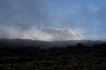 Kilimanjaro