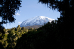 Kilimanjaro