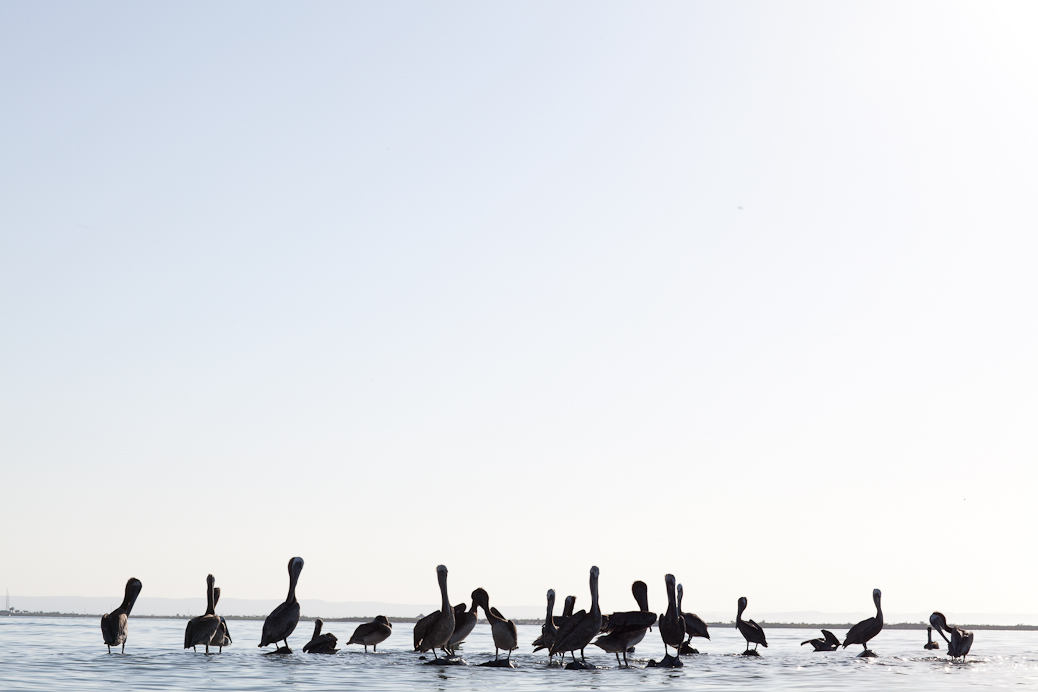 The stage is now set for the legend of 