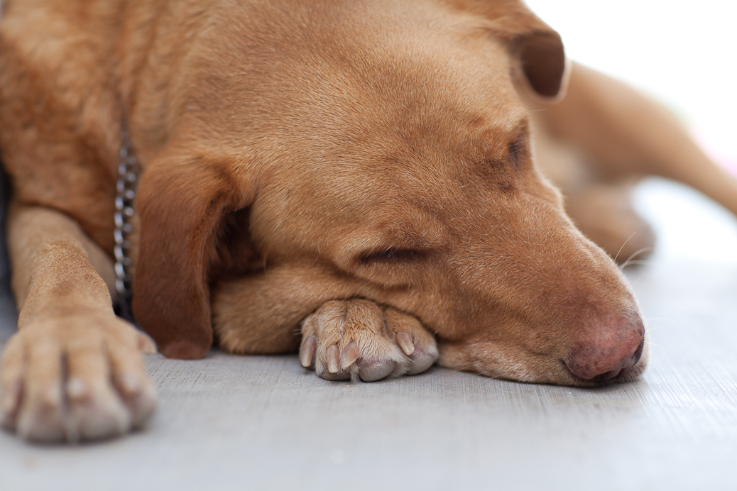 The stage is now set for the legend of 