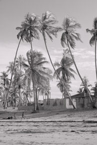 Zanzibar / A Zanzibar beach