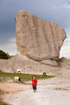 San Ignacio / Chacing goats outside of Mission San Ignacio