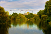 September 2013 - London