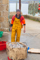 Cornwall - Sennen Cove  / squid fisherman with ink on his face