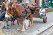 Wales —  not the fish / Ross on Wye - gypsy horse - well behaved