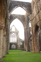 Wales —  not the fish / Tintern Abby