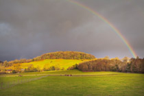 Wales —  not the fish / Ross on Wye