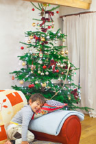 Wales —  not the fish / Somehow we managed to decorate the tree on Holiday :-)