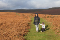 Wales —  not the fish / There are a lot of open shared pasture lands in the mountains of Wales.