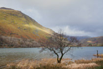 Wales —  not the fish / Llyn Gwynant - on the back side of Mount Snowdon