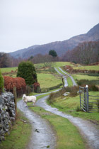Wales —  not the fish / Our house in Snowdonia