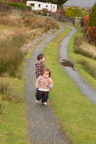 Wales —  not the fish