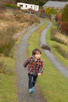 Wales —  not the fish