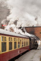 Wales —  not the fish