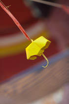 Hong Kong's youthful umbrella revolution - blowing on a cold windy Mong Kok night