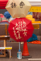 re lie zhu he,  zhang nan xiang gang, jiang nu min zhu, da hun zhi xi, zeng pu xuan jing zeng

[celebrating,
big boy Hong Kong,
and big girl democracy's ,
wedding party for,
universal suffrage]