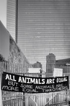 A message from George Orwell's satire on Stalin has hung across the blockaded Hong Kong Government building's entrance for weeks.