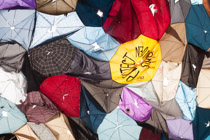 Umbrella are the casualties of the umbrella revolution in Hong Kong