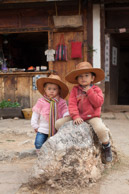 YunNan Short Legged Horses (YunNan AiJiao Ma) are bred sturdy as a rock to cross the mountains into Tibet