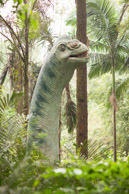 Chang Long Wild Animal Park, PanYu, China