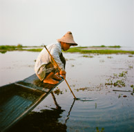 Pulling up fish traps on Inle lake (6x6 Kodak Ektar 100)
