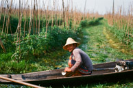 (35mm Kodak Ektar 100)