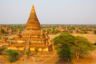 Sunset in Bagan.   Temple building was in its heyday 1000 yrs ago.    There are about 3000 stupas, monasteries and temples in Bagan as sign of the enthusiasm for Buddhism which started more than 50 generations ago.    Another 3000 were destroyed in the earthquake of 1975 -- and there were also quite a few wars over 1000 years taking their toll.  At its best the city was home to tens of thousands of stupas. Several stupas and temples are still covered in gold ( real gold ) and gems.  (5d)