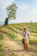 Burma, Shan Hills, Aythaya Vineyard, farm worker getting off work after a long day pulling weeds. (5d)