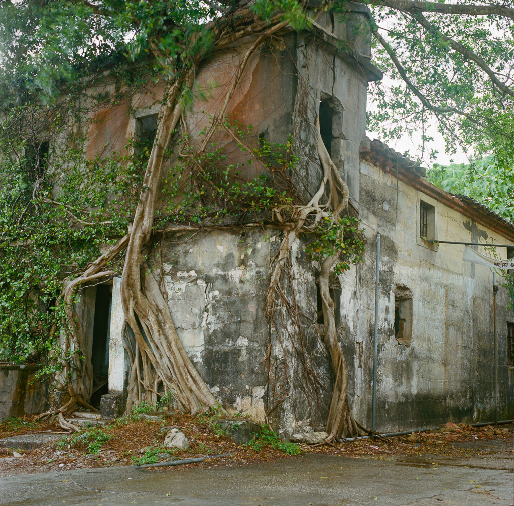 Dong Ping Zhou (501c, Portra 400)