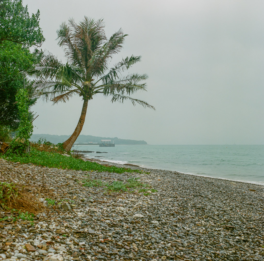 Dong Ping Zhou (501c, Portra 400)