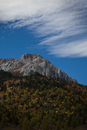 ZhongDian - 15 Oct 09