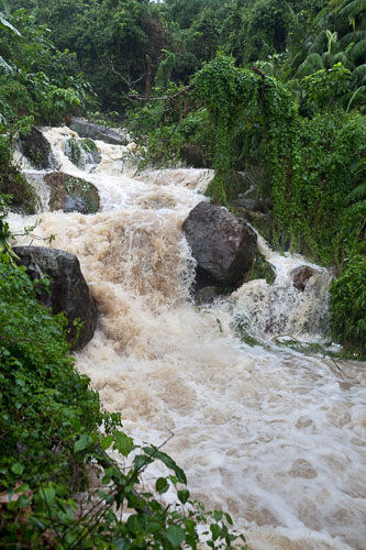 100627_SaiKung_rain
 Hero