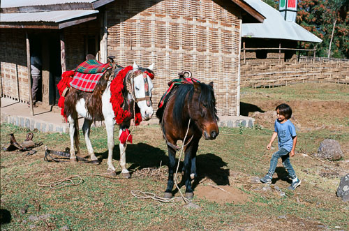 Ethiopia_000023980007.jpg