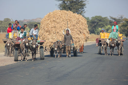 Ethiopia_2207i.jpg