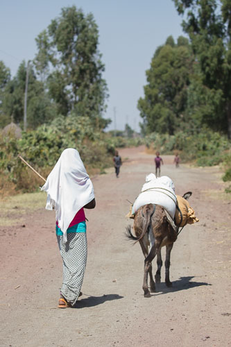 Ethiopia_2267.jpg
