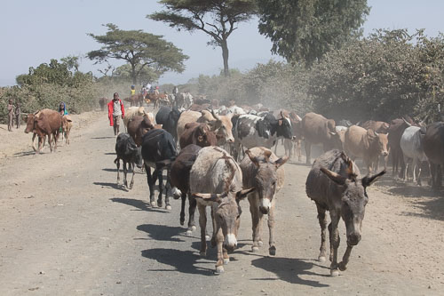 Ethiopia_2385.jpg