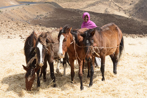 Ethiopia_2604.jpg