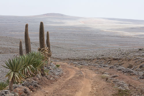 Ethiopia_2805.jpg