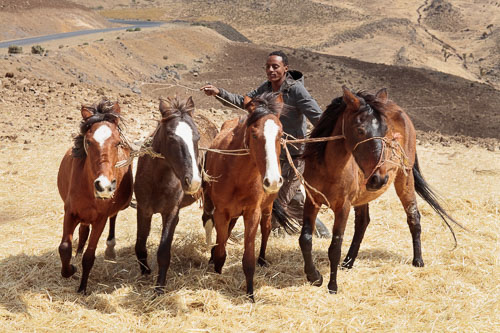 Ethiopia_2605.jpg