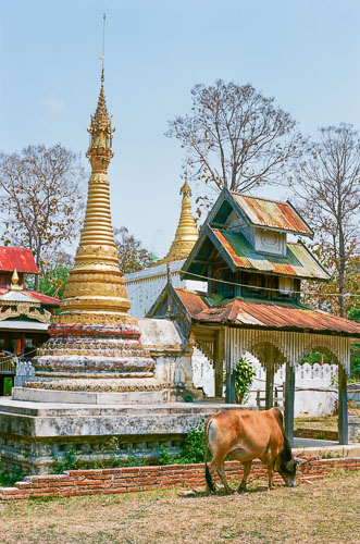 Burma_LX_1089_150413_0008ii.jpg
