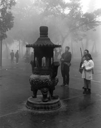 Po Lin , February 2024